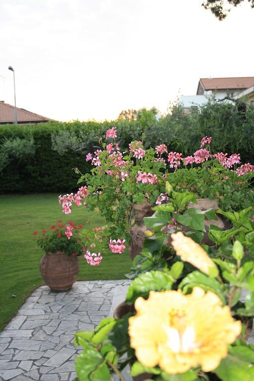 B&B Villa Acero مارينا دي كارّارا المظهر الخارجي الصورة