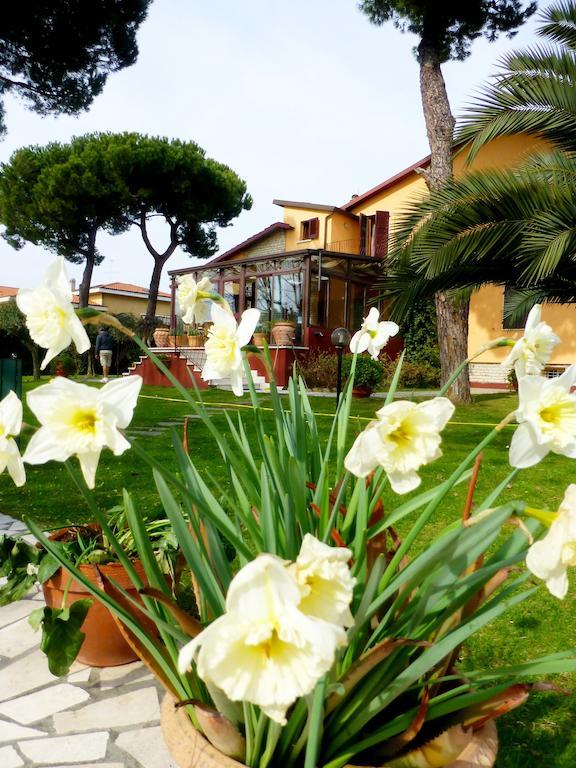 B&B Villa Acero مارينا دي كارّارا المظهر الخارجي الصورة